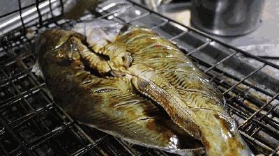 郫都区烤鱼推荐,成都郫都烤鱼