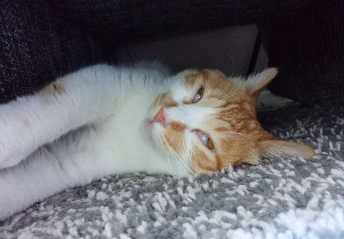 段子十则四十二期,段子十则第十二集