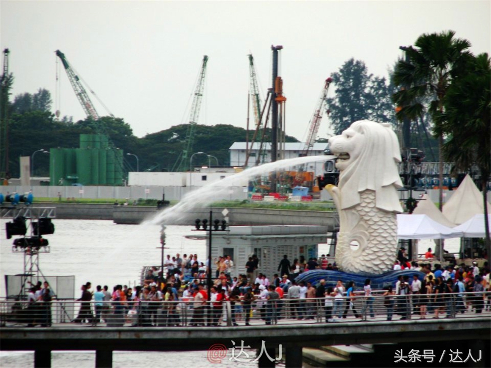 达人J：新马声色任逍遥