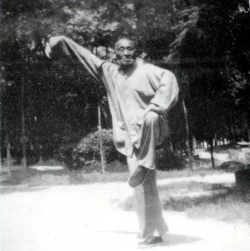 杨氏太极拳领军人物,武术高手盖世功夫