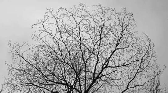 一张照片背后的故事20年前的自己,30年前的记忆从一张黑白照片说起