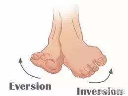 小腿大小不一是什么原因引起的,小腿突然肿胀特别粗怎么回事