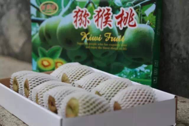 因为一句话恋上一座城,因为一个人恋上一座城