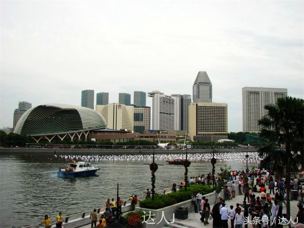 达人J:新马声色任逍遥