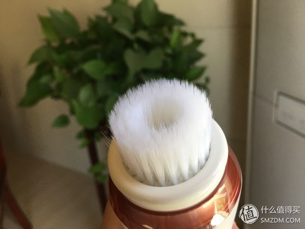松下eh-sc50泡沫洁面仪使用方法,松下洁面仪评测