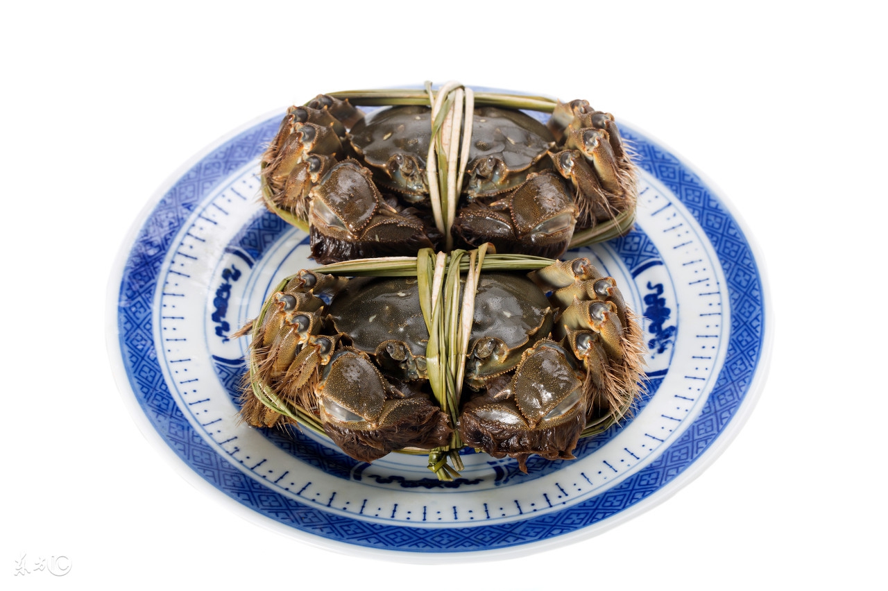 大闸蟹不剪绳子放水里可以过夜吗,买的大闸蟹怎么让它过夜不死