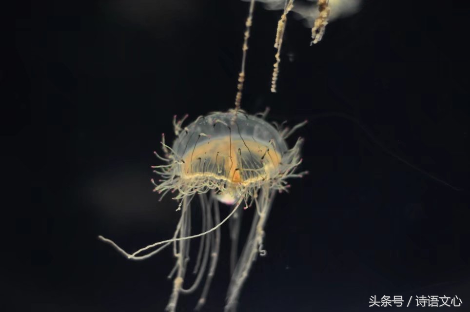 暑假带娃去部队看亲人,带娃去拉练