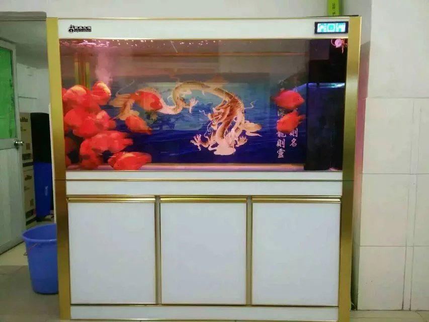 新手diy异形,新手粘系统缸