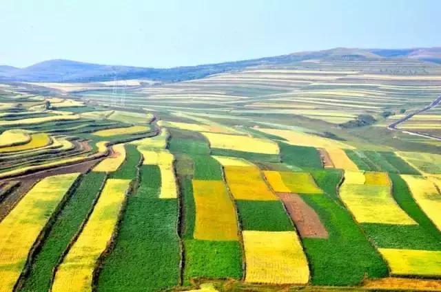 张家口之夜景色真的很美,从来没有见过的张家口美景