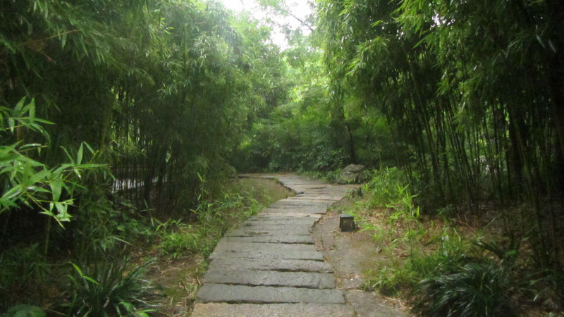 苏州西塘乌镇二日游团从杭州出发,苏州西塘乌镇二日一夜