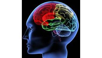 手脚经常发麻用什么药好,手脚麻木吃蜂蜜有好处吗