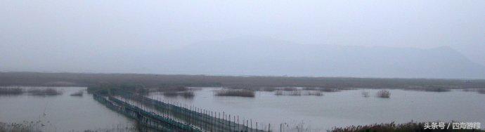 浙江玉环漩门湾国家湿地公园灯光,浙江玉环漩门湾湿地公园拍鸟