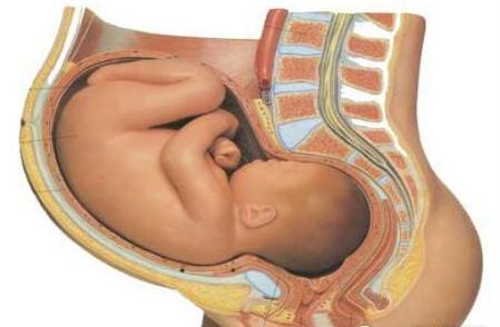 分娩三个阶段准爸爸必看,分娩时该如何生孩子