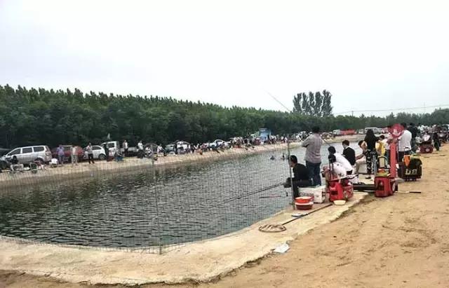 行营钓鱼比赛现场直播,行营钓鱼节