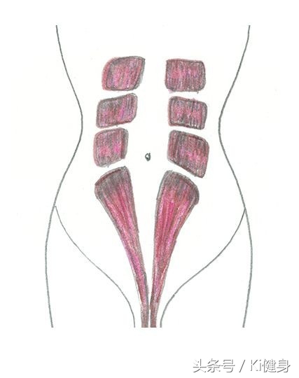 腹直肌分离怎么紧实肚子上的肉,腹直肌的运动疗法是什么