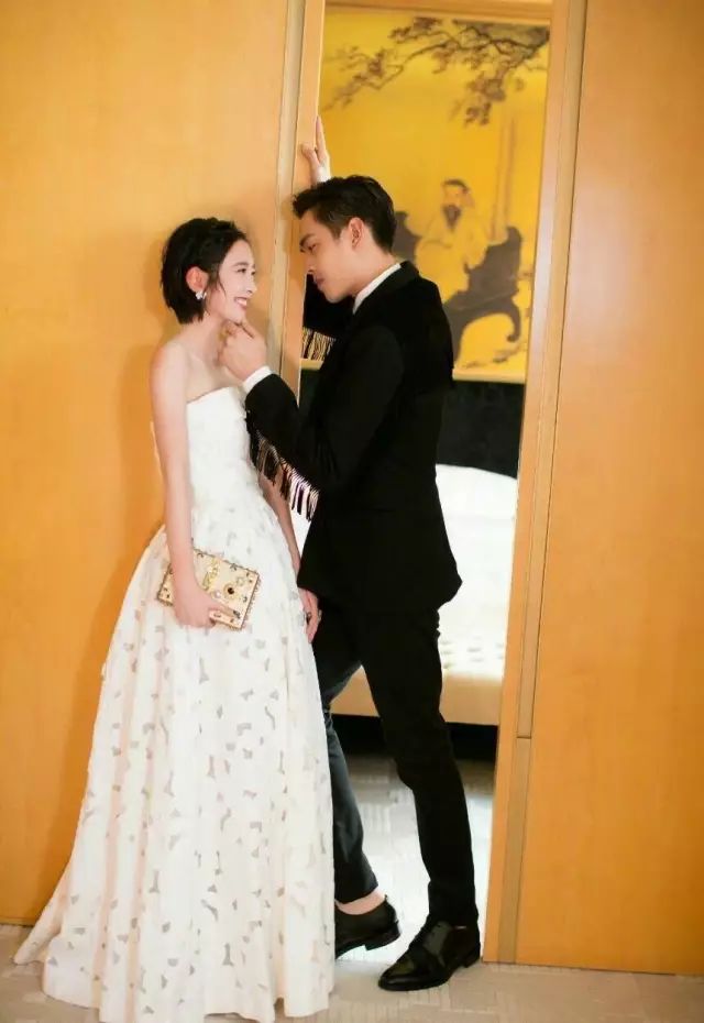 芭莎慈善夜的捐款到哪里了,芭莎慈善捐款名单曝光事件