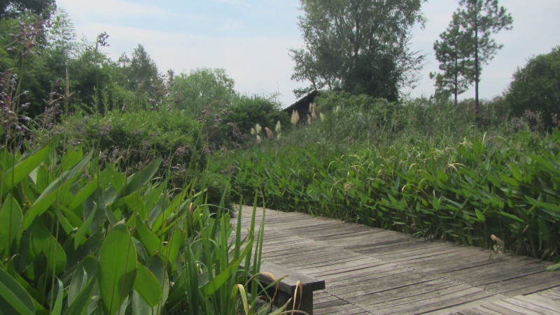 苏州西塘乌镇二日游团从杭州出发,苏州西塘乌镇二日一夜