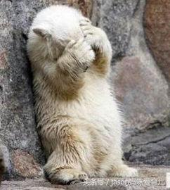 孩子见人不爱打招呼怎么教育,孩子遇到人不爱打招呼