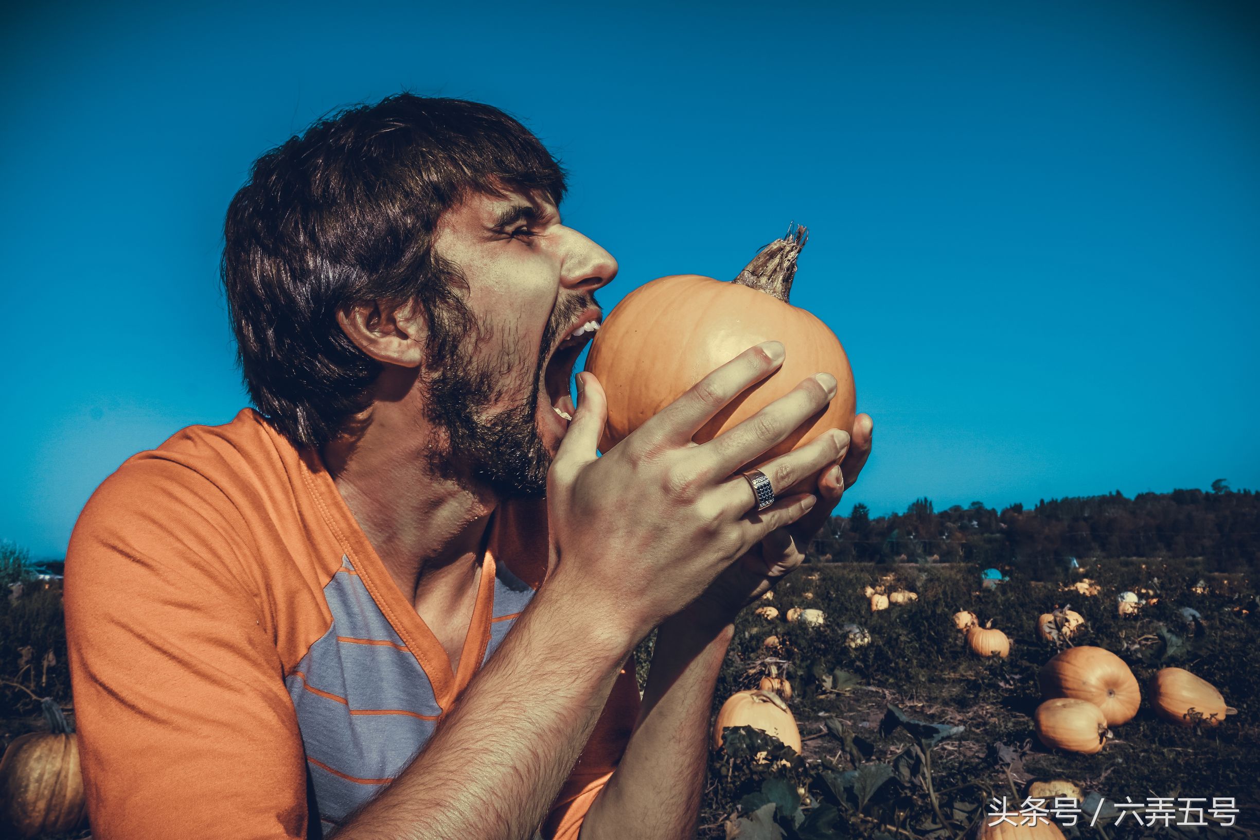 互动营销和饥饿营销,饥饿营销还有什么营销