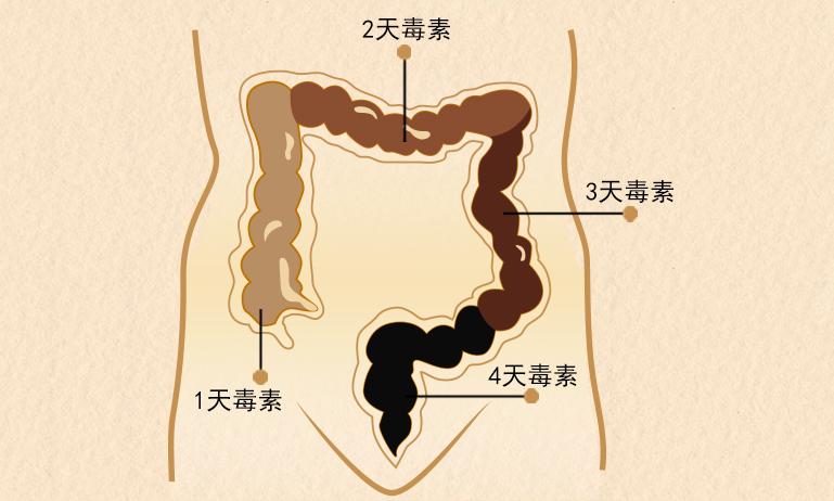 如何彻底告别痘痘成人痘,有一种痘很大个是红色的