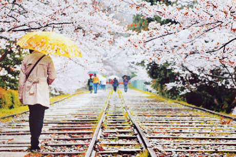 爱情里没有谁对谁错出自哪首歌,爱情没有谁对谁错的精辟句子