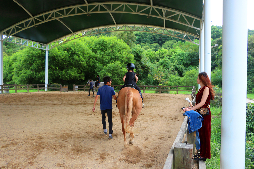 品农家菜肴田园生活,嘉兴南北湖农家乐推荐