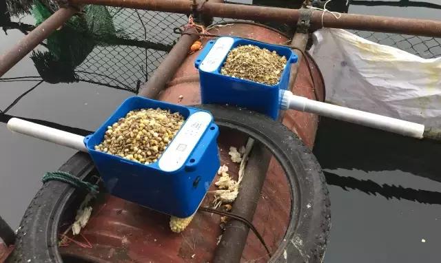 怎样玩好筏钓（超多干货值得收藏）