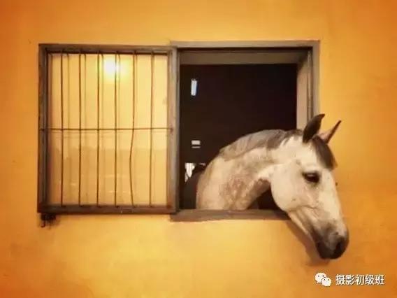 手机修图如何修得有质感,手机照片后期修图软件推荐