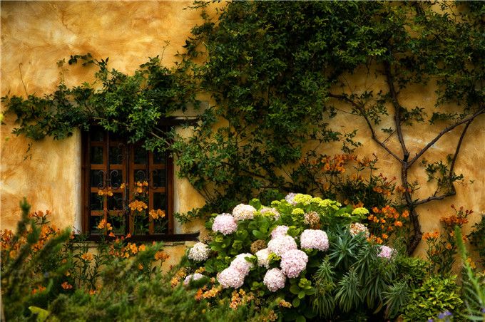 加州1号公路自驾路线图片,加州一号公路攻略从南往北