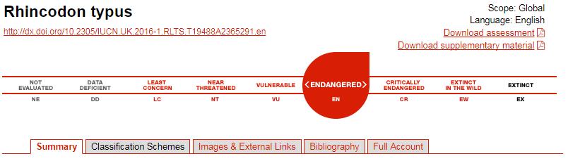 鲸鲨是温柔的还是凶残的,最善良的鲸鲨
