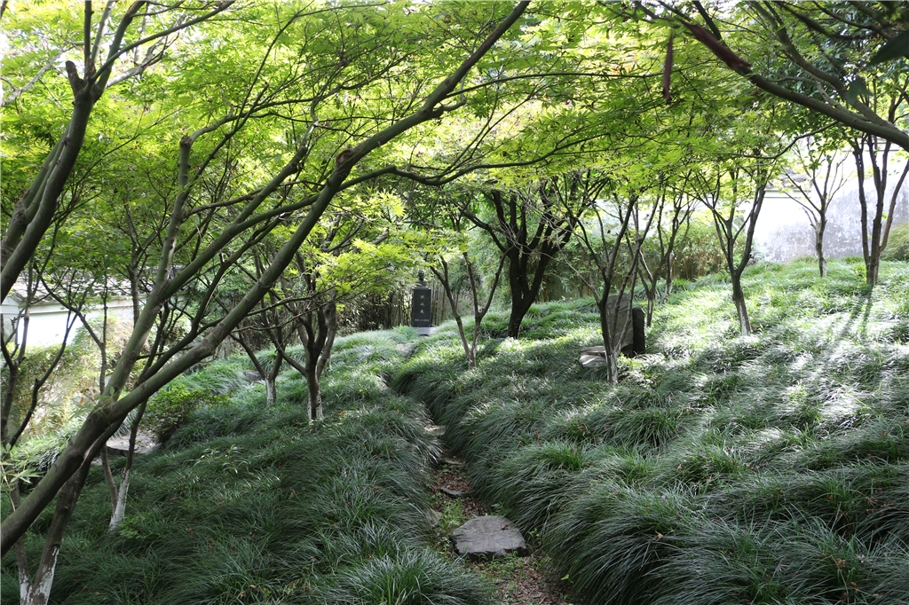 品农家菜,品农家美食