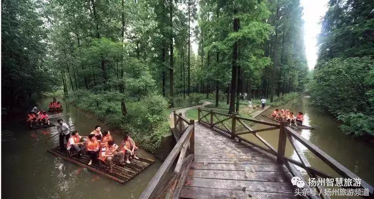 扬州农家乐游玩攻略,扬州十大最美农家乐