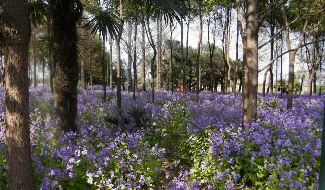 上海地铁直达的好玩的地方,上海坐地铁就能去的景点