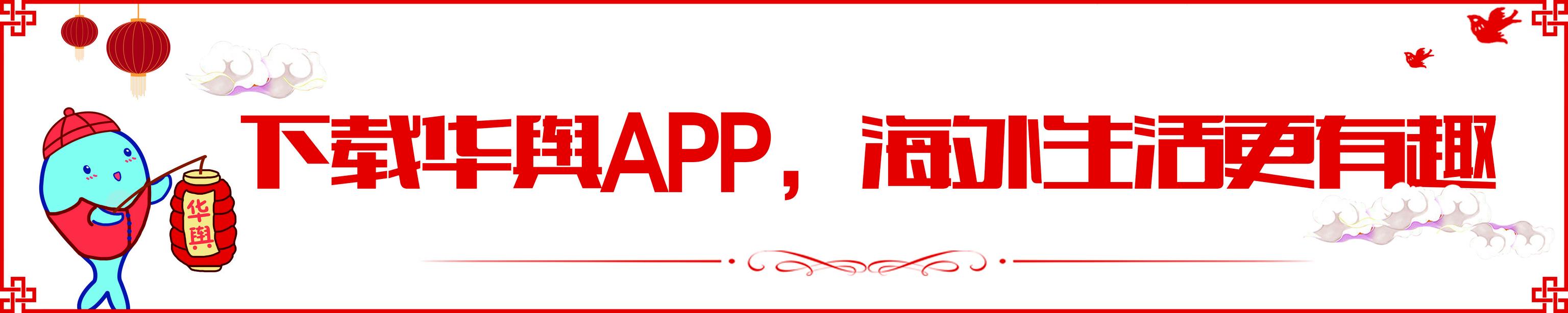 珀斯和堪培拉华人比例,堪培拉华人是中国人吗