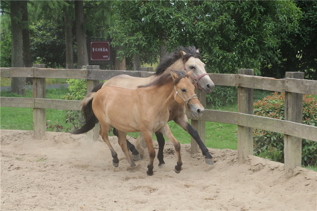 品山水美景房子,品农家菜