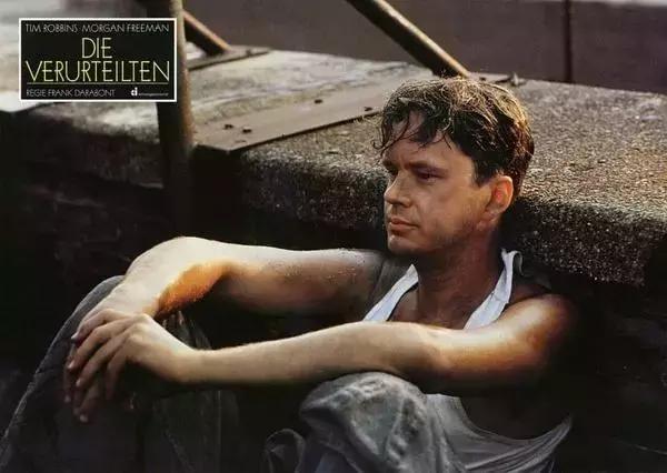 肖申克的救赎经典语录关于鸟,肖申克的救赎布鲁斯的鸟