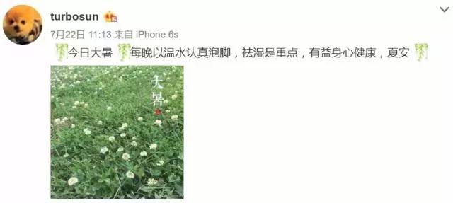 孙俪新剧未拍先火,孙俪看了甄嬛传