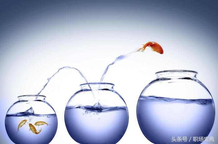 遇到极品上司怎么办,对付极品上司最好的办法