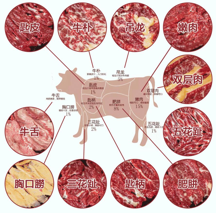 吃火锅可以升降的锅,吃火锅用升降锅
