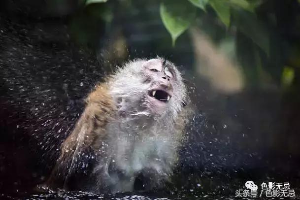 佳能l级镜头大全,佳能半幅红圈镜头推荐