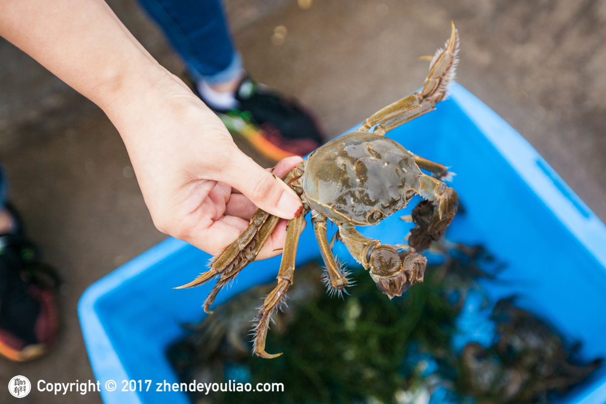 悦湖鲜阳澄湖大闸蟹怎么保存,阳澄湖大闸蟹冰箱保存图片