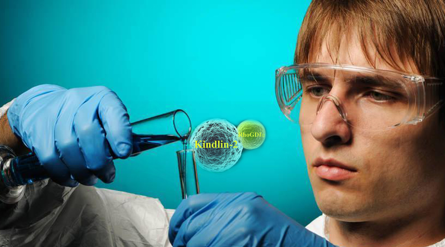 西方能量医学研究：平衡电场—所有疾病治愈的秘密