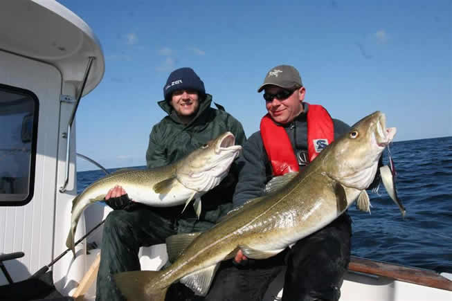 中国人经常吃的海鱼,中国人一般常吃的鱼