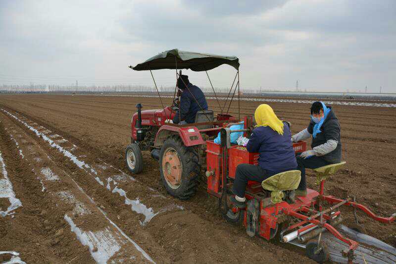 清田全生物可降解地膜,清田地膜