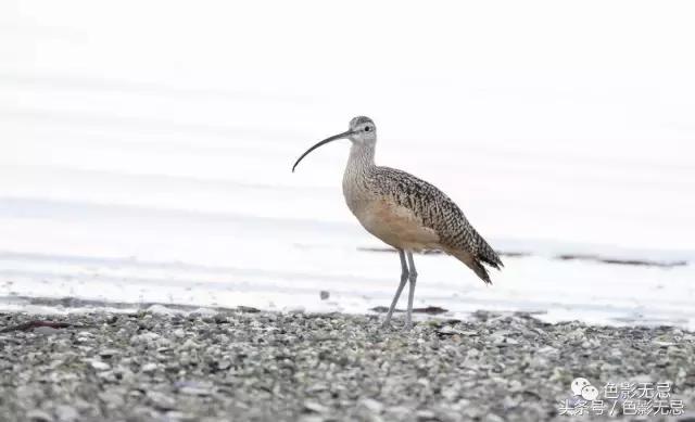 关于尼康d850的一些问答,尼康d850买回来怎么打开