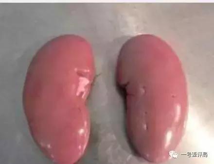 除了穷就一无所有,iphonex真的不值得购买吗