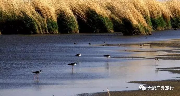 一大一小两个情侣湖，国庆来西域敦煌必经之路，一起秀恩爱吧！