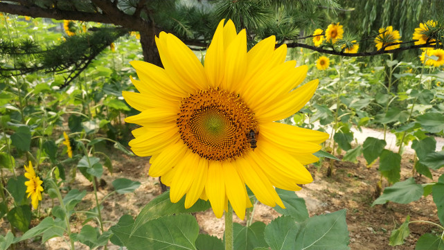 全面屏mix2,小米mix2最全评测