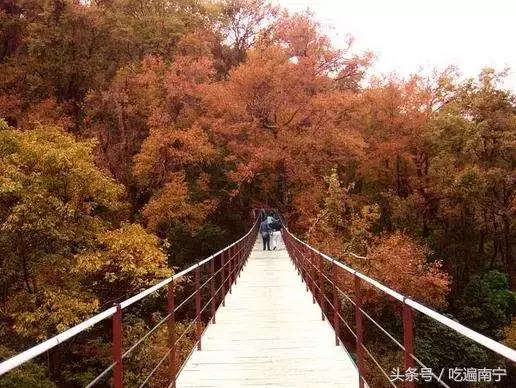 广西深秋好看的地方,广西的秋天哪里风景最美