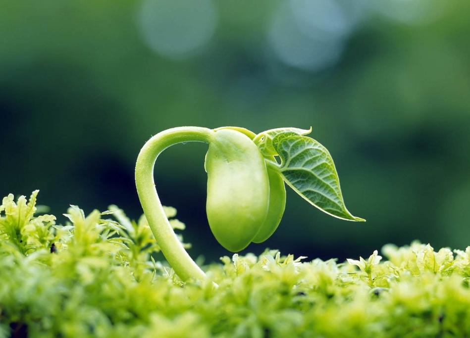 被人欺负该如何正确应对,对付被人欺负最好的方法